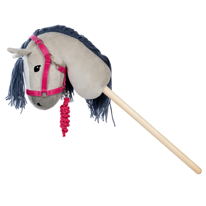 Halfter und Führstrick rosa