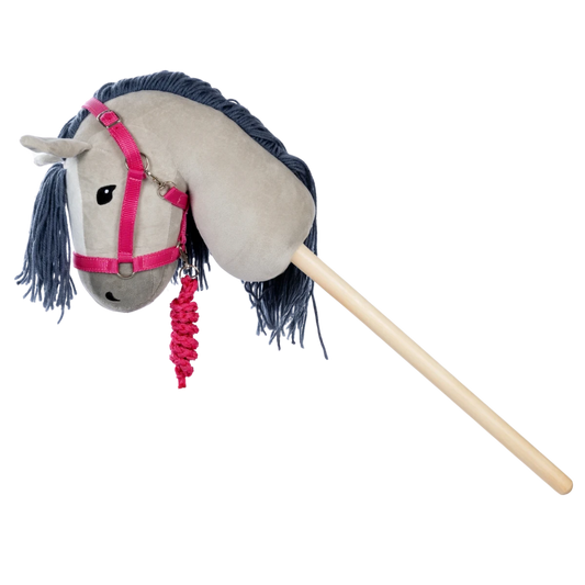 Halfter und Führstrick rosa