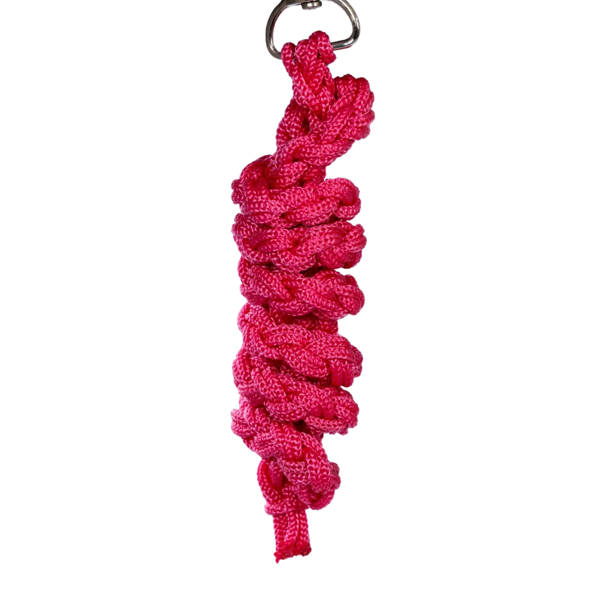 Halfter und Führstrick rosa