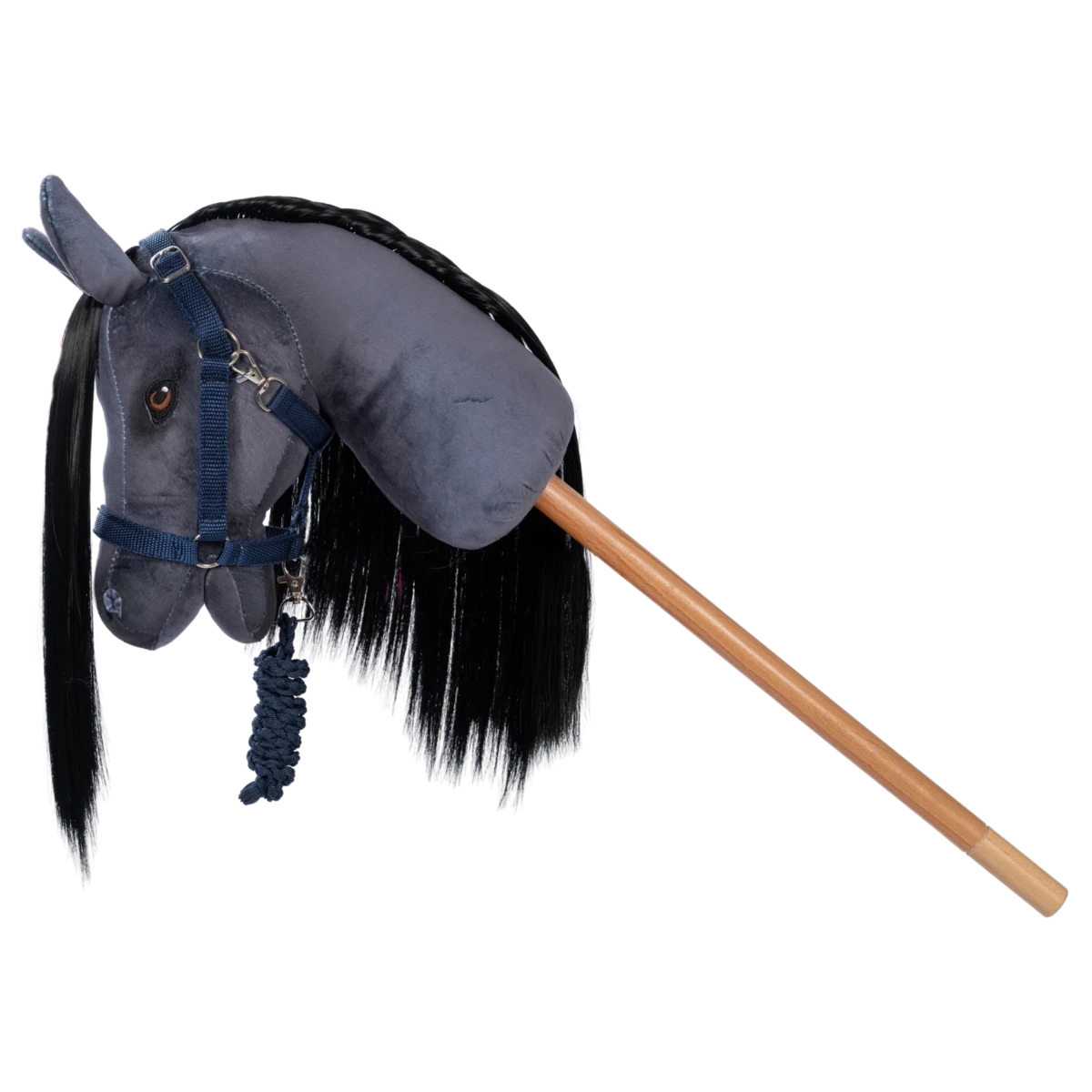Halfter und Führstrick blau