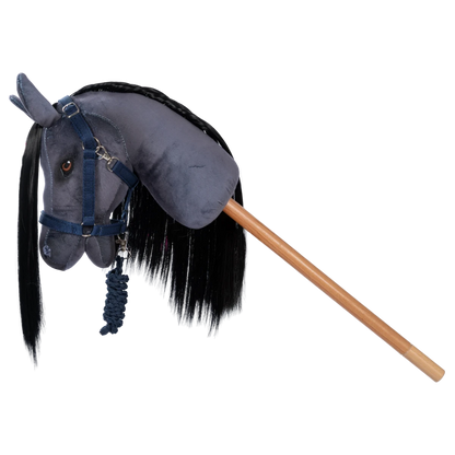 Halfter und Führstrick blau