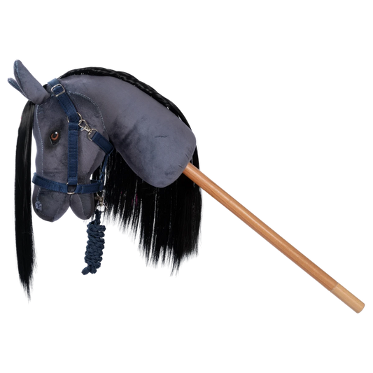 Halfter und Führstrick blau